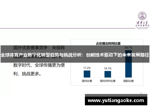 全球体育产业数字化转型趋势与挑战分析：创新技术驱动下的未来发展路径